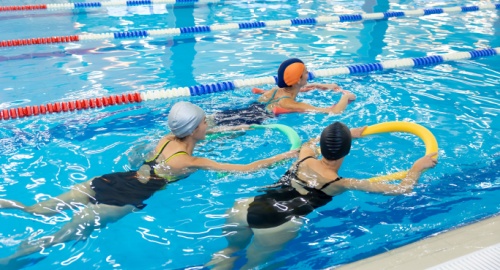 Shutterstock 2684645607 1